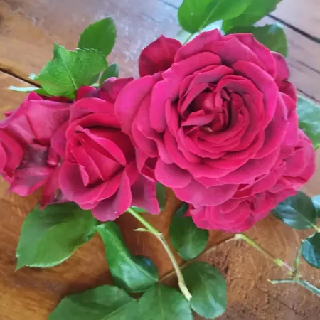 Apartmán σπίτι στο χωριό *